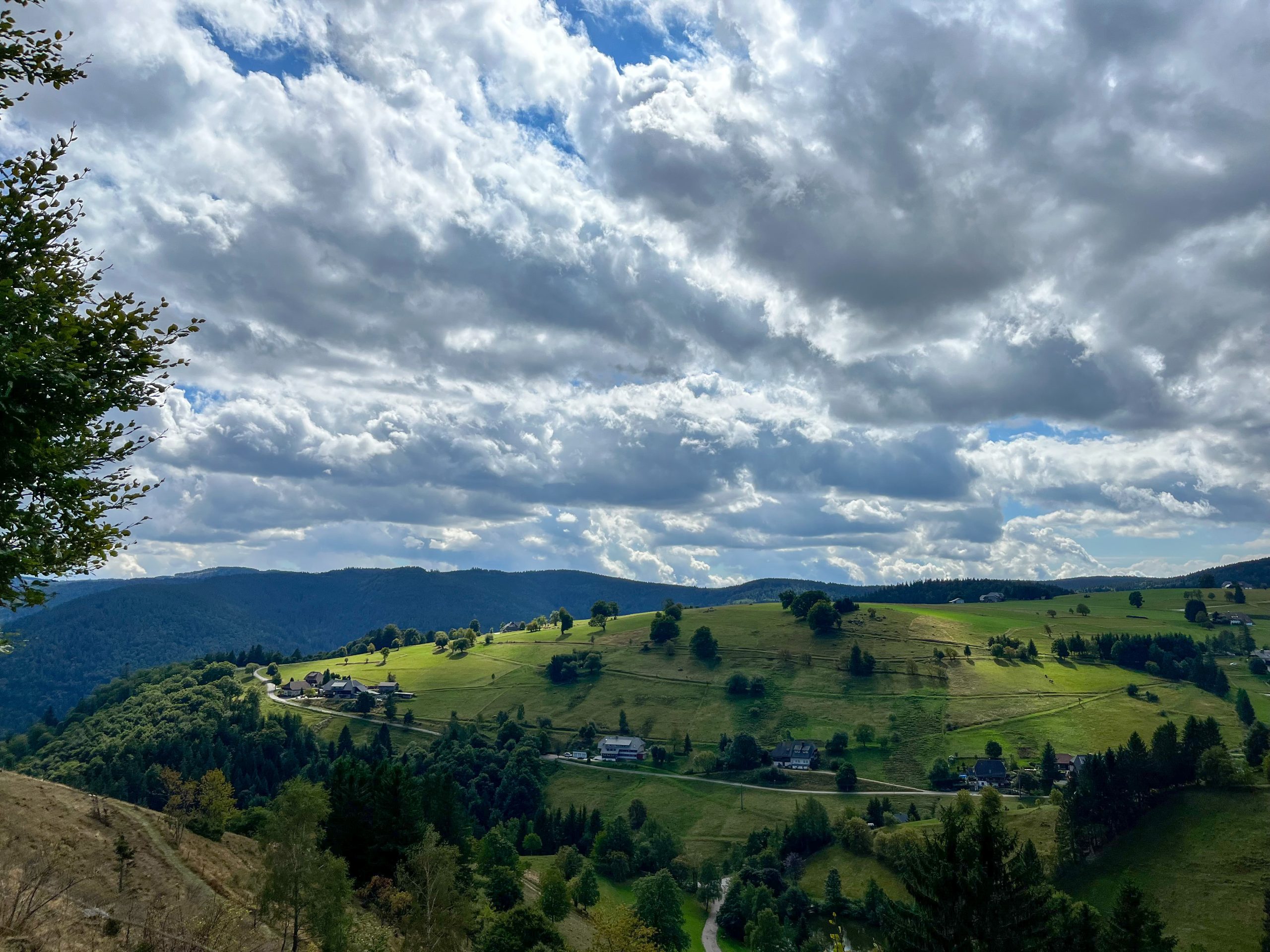 Black Forest: Waldeinsamkeit and return to basics