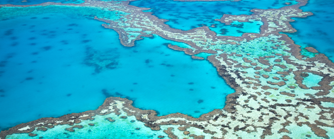 Protect the Great Barrier Reef