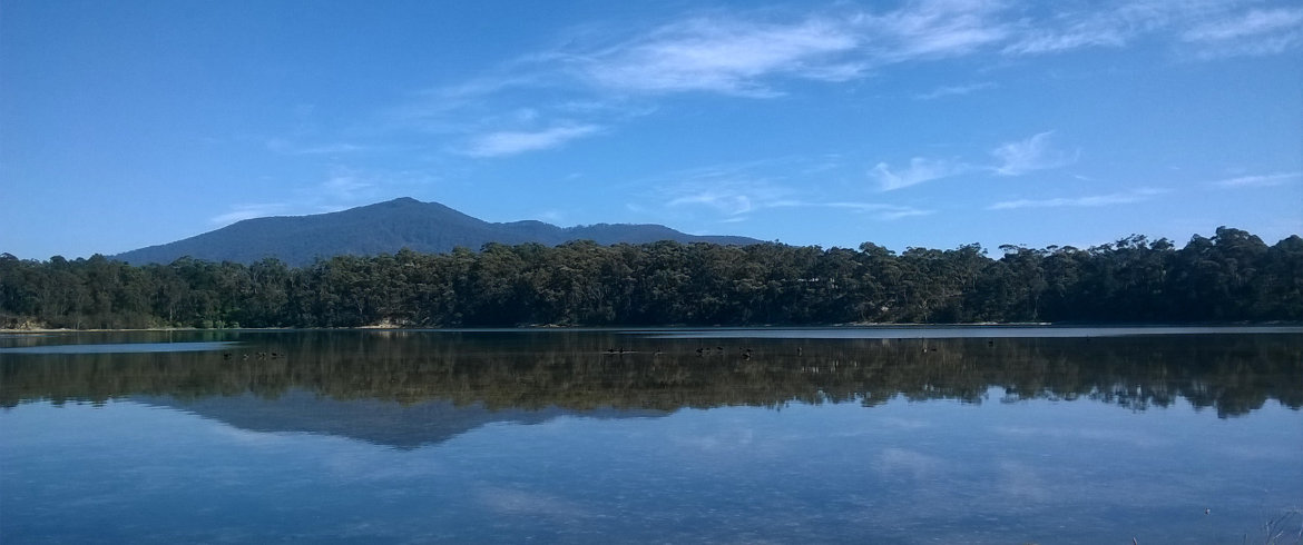 Ecotourism in Hilly Reserve on Loch Penne