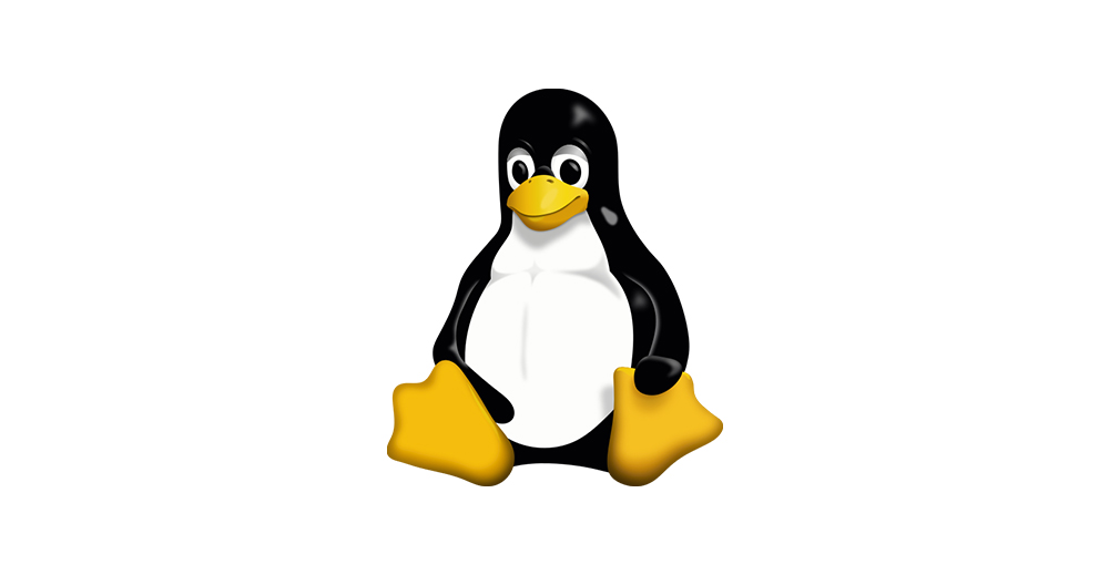 the vulnerability that allows root access