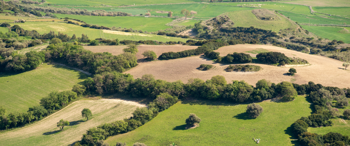 tra nuraghi, natura e altopiani vulcanici