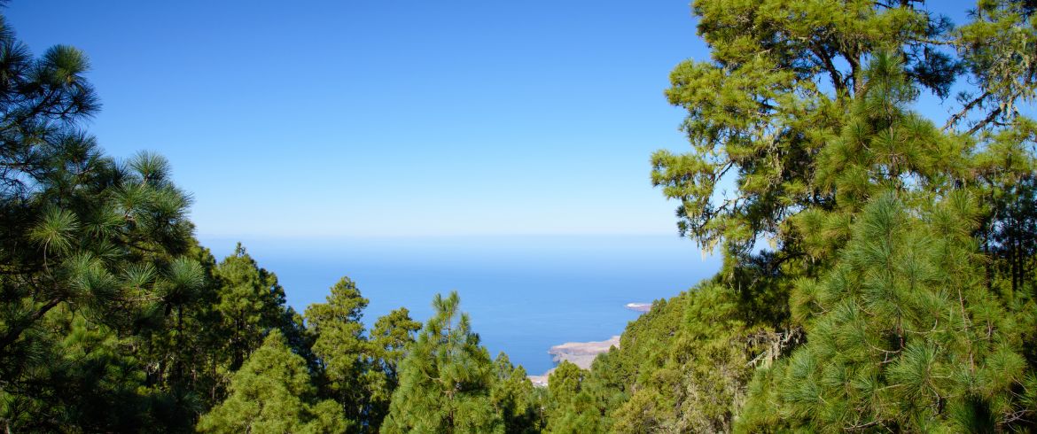 Gran Canaria tra Mare e Natura: Guida al Viaggio Consapevole